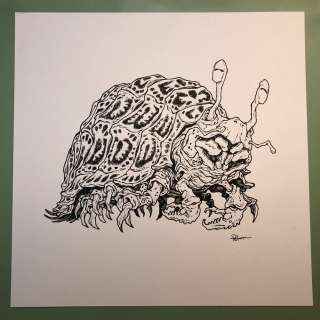 David Petersen | The Dungeness Pillurtle | David Petersen