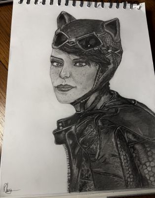 Ryan Leyland | Catwoman Drawing from Batman Arkham Knight | Raremarq (Buy It Now)