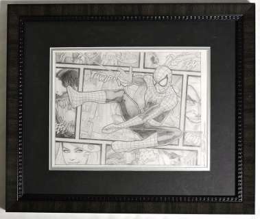 Randy Martinez - Spider-Man Beyond The Borders Framed Original Art