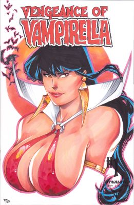 Rb White | Vengeance of Vampirella Sketch Cover | Raremarq