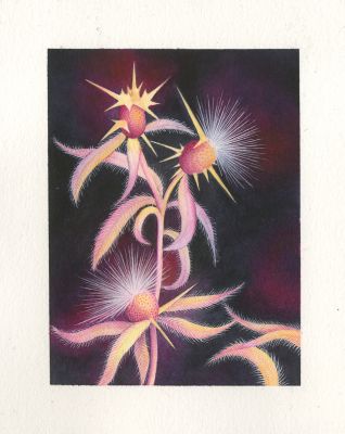 Alma de Beir | 2025 - Chardons | Huberty Breyne Gallery