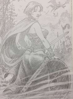 Aouamri, Mohamed | Aouamri, Mohamed - Dessin original - Saga Valta - Hildegird - (2020) | Catawiki