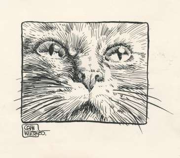 Wilson | Illustration Ã  l’encre de Chine représentant la… | Millon