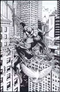 Salgado, Jimbo - SPIDER-MAN Illustration