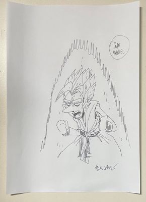 Zerocalcare - 1 Original drawing - Tributo a Dragon Ball - 2021 | Catawiki