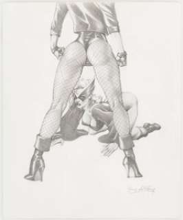 Greg LaRocque - Black Canary and Mockingbird Illustration Original Art (c. 1990-2000s). These birds of a -