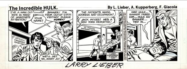 Frank Giacoia, Larry Lieber | Incredible Hulk Daily Strip (Banner & Injured New York Reporter!) 5-27-1980 | Romitaman