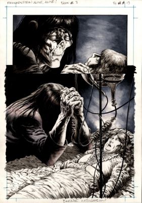 Bernie Wrightson | Frankenstein Alive, Alive! #3 Splash P 13 (The Monster Mourns the Death of Dolly Thinking He Killed Her!) | Romitaman