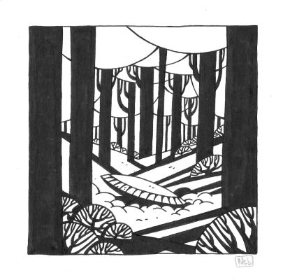Neb – premier jour 8 | FieldArts