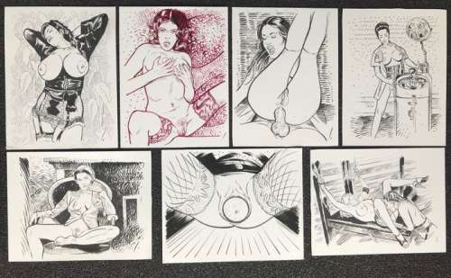 Salamanderlovers - 7 Originele, erotische tekeningen - Formaat (7x): 25 x 32 cm. | Catawiki