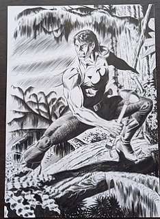 Walter Venturi | DISEGNO ORIGINALE - ZAGOR - Exemplaire unique | Catawiki