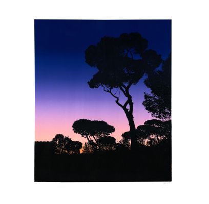 Thomas Lévy-Lasne | 2025 - La Villa à l’aube | Huberty Breyne Gallery