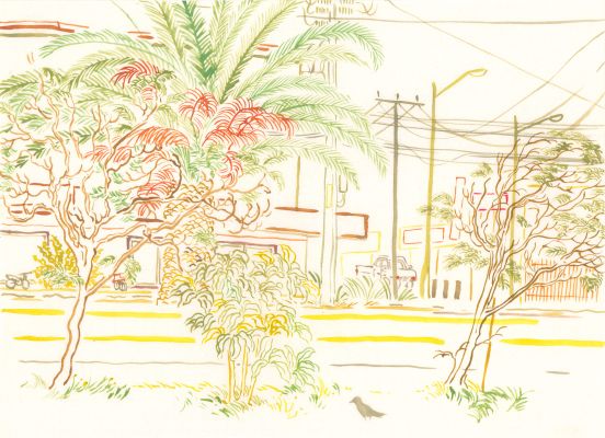 Louise Collet | Carnet du Mexique, 2024 - Calle Zacatecas | Huberty Breyne Gallery