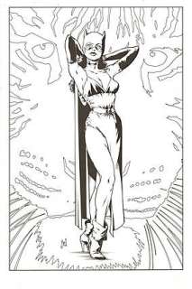 CATWOMAN Illustration