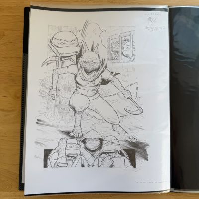 Ben Bishop | TMNT BATTLE NEXUS #2 - PAGE 20 - (ORIGINAL ART) | Ben Bishop