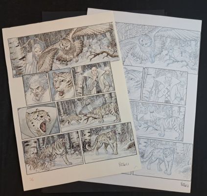 Nizzoli, Marco - 2 Original page - Il Giorno dei Maghi - 2009 | Catawiki