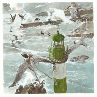 Guillaume Sorel - Doëlan, Saint-Malo 50x50 cm