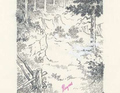 Magnus, Tex - original page "La valle del terrore" +  cop. vol. - Page volante - (1998) | Catawiki