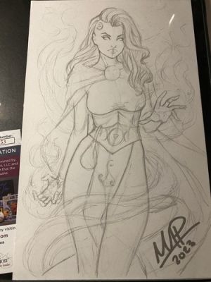 Ninja Witch Marissa Pope Original Comic cover art published JSA certs Lady Death