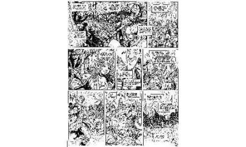 LIDWINE Â«La Quête de l‘Oiseau du TempsÂ» Encre de Chine noire pour la planche