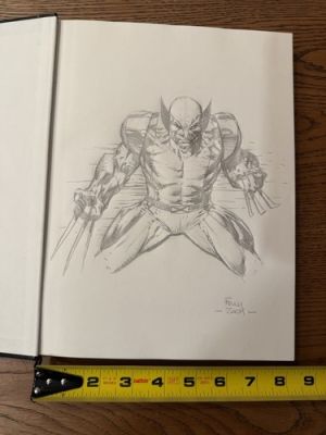 Comic Book Sketch Art - David Finch - Entire Sketch About 6”x8” Of Wolverine