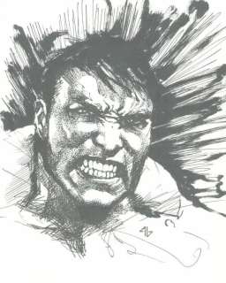 Adi Granov | Hulk sketch | Panel Gallery
