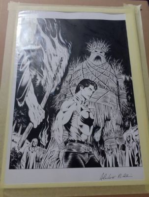 TAVOLA DI PICCINELLI COPERTINA COVER ZAGOR SERIE REGOLARE | eBay Europe (Buy It Now)