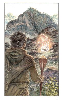 Federico Penco | Il Monte Sinai | Tavole Originali