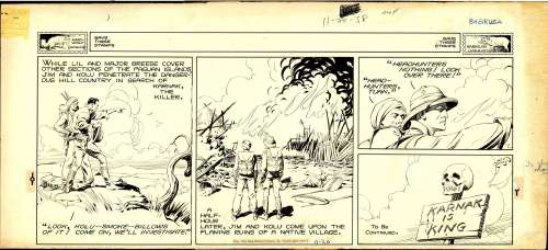 Alex Raymond | Raymond - JUNGLE JIM, Sunday Page (11/20/1938) | Russ Cochran