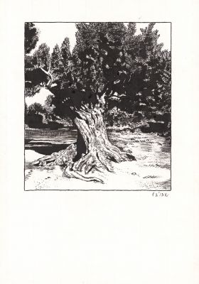 Frédéric Pajak | Sans titre, 13 - Encre de Chine, plume et pinceau sur papier | Huberty Breyne Gallery