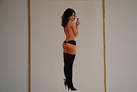 Bosschaert, Jan - Original drawing in colour  - Pin-up series  - Lady with robin