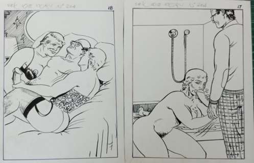 Marc Random | Love Story 204 - Viñeta erótica n17 y n18 - (1970) | Catawiki