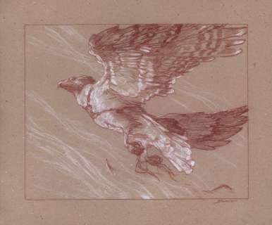 Donato Giancola - cartographer‘s hawk magic the gathering mtg commander 2020 preliminary