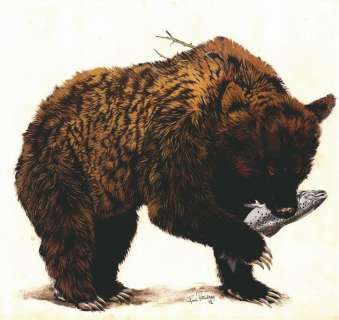 Hausman. Illustration originale Ours noir | BDEnchères