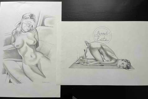 Rebecca - 2 Original drawing - Housewives at Play | Catawiki