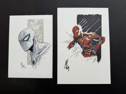 Marco Checchetto - 2 Original drawing - Spiderman | Catawiki