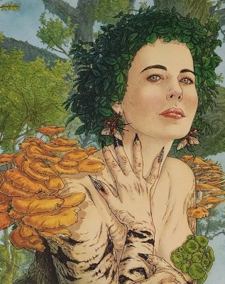 Tillier, Béatrice - 1 Original drawing - L’arbre dessiné - Autoportrait | Catawiki