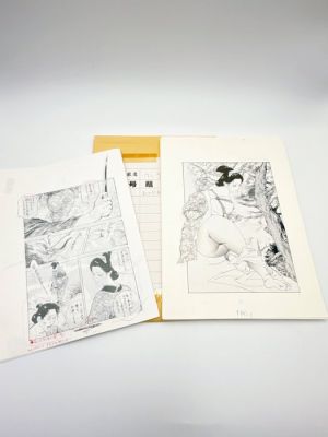 Ken Tsukikage - 1 Ensemble de manuscrits originaux - Jukujyo Monogatari - Ken Tsukikage,Set of 20 original drawings, Original Manuscript Set B4 Draft & Illustration Page | Catawiki