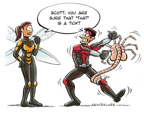 Joan C. Marco | Original drawing – Ant-Man – Marco | Origin Of Comics