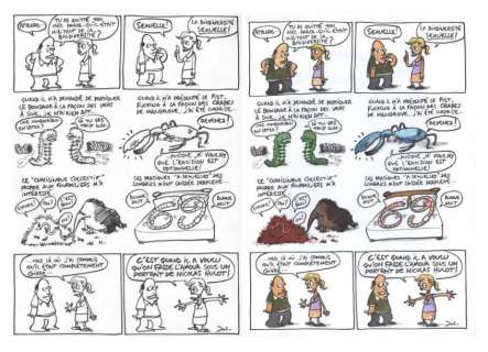 Jul | "Biodiversité sexuelle" Planche originale et planche de mise en couleur, | Aponem