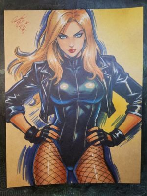 Black Canary Original Comic Art Signed 8.5x11 COA Incl | eBay US (Buy It Now)