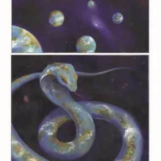 Hoyas | Fa-Seiryu | Art Maniak