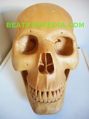SKULL ORIG ART-SCULTURE-CARVING-MASK-MASKS-TRIBAL-TATTOO-HUMAN SKULL-ANATOMY | eBay US