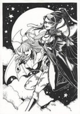 Tomoko Hirabayashi Hand-Drawn Illustration "Morrigan & Bayonetta" | Mandarake (Big Web)