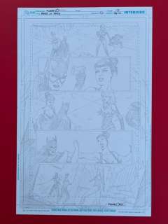 Molenaar, Romano - 1 Original page - Birds of Prey - Pencil Issue 0 - Page 17 - 2012 | Catawiki