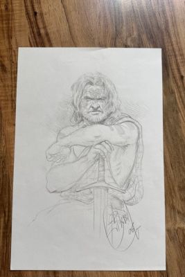 Delaby Philippe - 1 Original drawing - Murena - Les Sentinelles Barbares - 2006 | Catawiki