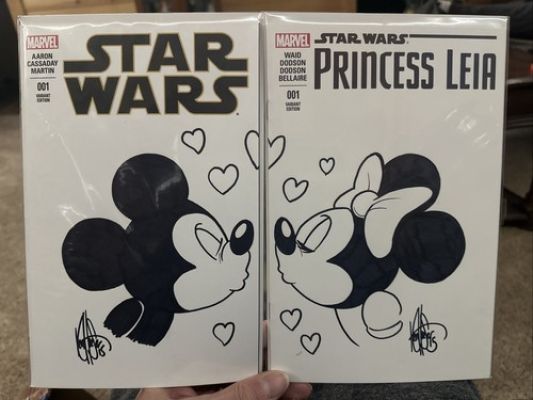Star Wars And Princess Leia Comics Sketch Covers Original Art Connecting Covers | eBay US