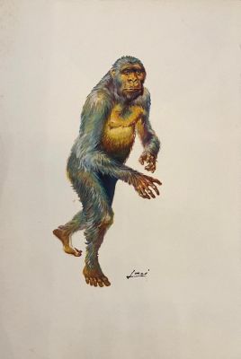 Laci | Illustration à l’acrylique Homo Erectus | Galerie Napoléon