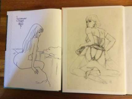 Duvet / Goepfert - La chatte & Le fou du roy T1  - avec dédicaces - Cartonné - EO - (1995) | Catawiki