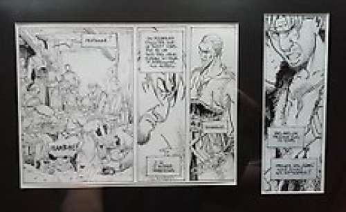 Mallié, Vincent  - Strip + Case originale - La quête de l’oiseau du Temps T.7 - La voie du Rige (2010) | Catawiki